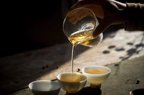 什么樣的老白茶不能買