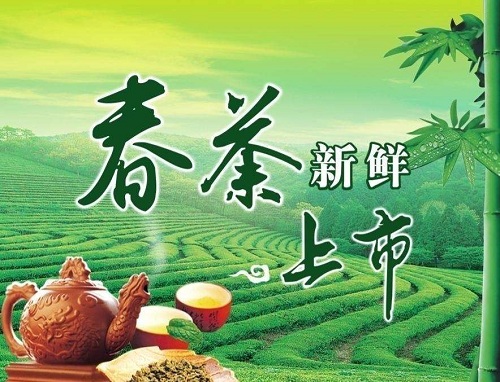 購(gòu)買春茶的誤區(qū)
