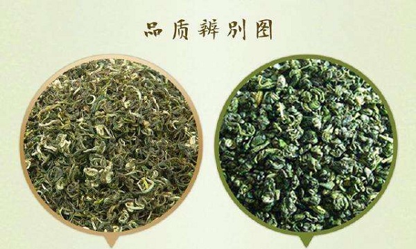 茶葉鑒別方法