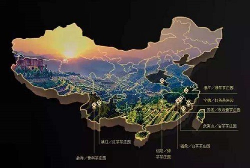 如何經(jīng)營(yíng)茶葉店
